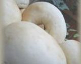 ◎酒粕ベーグル◎作り方11写真