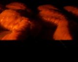 ジューシーな手羽先餃子♪作り方11写真