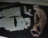 イカとピーマンのニンニク醤油炒め作り方1写真
