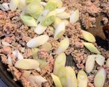 とろとろナスと長ネギの絶品甘辛肉味噌炒め作り方5写真