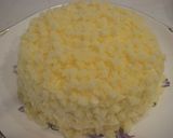 レモンのムースケーキ作り方15写真