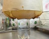 ノンオイル♪濃厚チーズシフォンケーキ作り方13写真