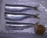 いわしの煮つけ作り方1写真