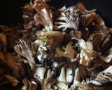 舞茸を最も美味しく！バター焼き作り方1写真