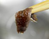 アンチョビで釜玉作り方3写真
