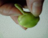 そら豆の煮物作り方2写真