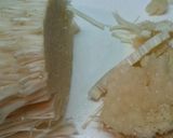 簡単＆エコ☆捨てちゃう野菜でつみれつくね作り方4写真