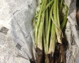 ざわざわ葉ごぼうの炒め煮ダイエット作り方1写真