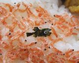 簡単キャラ弁☆　レオ・レオニのスイミー♪作り方3写真