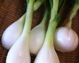 塩麹で♡玉ねぎ&筍&豚肉入り野菜スープ♫作り方1写真