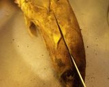 たくさんの筍も圧力鍋で　下処理と保存法　作り方2写真