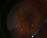 簡単一品☆大根の煮物作り方3写真