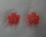 紅生姜の液ｄｅ桜色の大根に変身☆作り方5写真