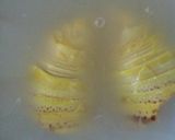 簡単な筍の茹で方(^^)作り方3写真