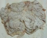 ウチのチキン南蛮作り方2写真