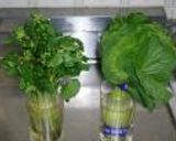 花わさび・葉わさびの醤油漬け作り方1写真