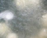揚げない☆チーズin胡麻団子作り方3写真