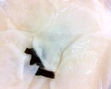 超簡単...丼で..5分..かぶ 千枚漬作り方12写真