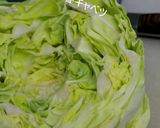 春キャベツのジューシー餃子作り方1写真