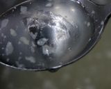 春キャベツのジューシー餃子作り方12写真
