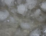 春キャベツのジューシー餃子作り方10写真
