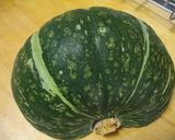 簡単麺つゆでホコホコかぼちゃの煮物作り方1写真