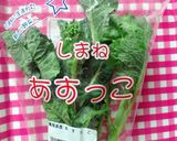 あすっことベーコンの塩だれパスタ♪作り方2写真