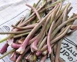 石蕗（つわぶき）のキンピラ作り方1写真