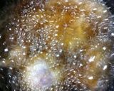 あの味!カリカリ☆おろしチキン竜田作り方3写真