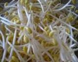 【Vegan】　ハラペコハラペーニョ豆腐作り方3写真
