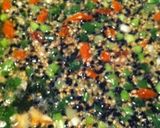 かんたん薬膳粥〜参鶏湯風〜作り方7写真