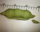 えんどう豆パン作り方7写真