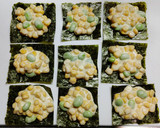 海苔ととうもろこしと枝豆のかき揚げ作り方4写真