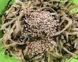 簡単！切り干し大根の塩昆布和え作り方4写真