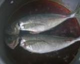 鯵の煮付け梅風味作り方6写真
