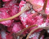 桜寿司 桜の塩漬けが味と香りのポイント!作り方33写真