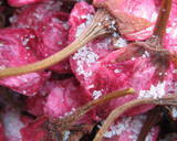 桜寿司　桜の塩漬けが味と香りのポイント！作り方33写真