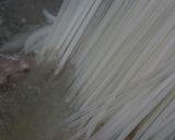 レタスと牛肉のフォー作り方16写真