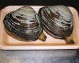 ホッキ貝の刺身。作り方1写真