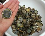 浜田のＢ級グルメ☆ぼべめし♪作り方2写真