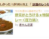 野菜がとろける★特製カレー＜圧力鍋＞作り方9写真