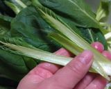 韓国創作料理❀生で食べる小松菜のサラダ作り方3写真