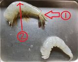 スナップえんどう＆エビの塩昆布和え♪作り方2写真
