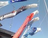 こどもの日☆鯉のぼりのお稲荷さん作り方5写真