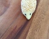 お弁当に*はりねずみの親子*作り方6写真