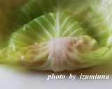 ロールキャベツ～圧力鍋使用～作り方10写真