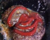 超簡単... 塩麹で ... ハンバーグ作り方14写真