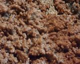 塩麹でしっとり美味しい☆そぼろ丼作り方2写真