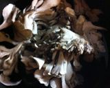 舞茸とさつま揚げの塩麹煮作り方1写真