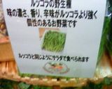 簡単*シンプル ~冷製トマトパスタ~作り方6写真